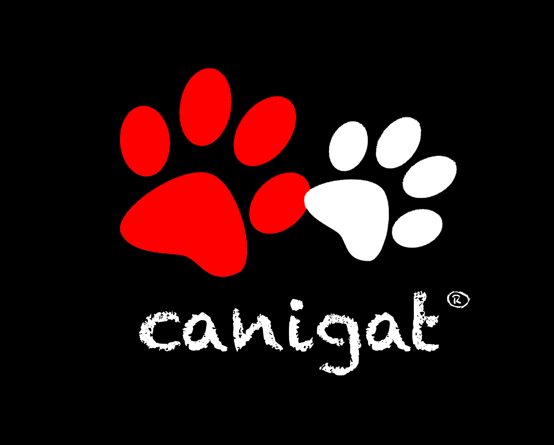 <i>CANIGAT STUDIOS</i> <i>una imagen vale</i> <i>m&aacute;s que mil palabras</i>